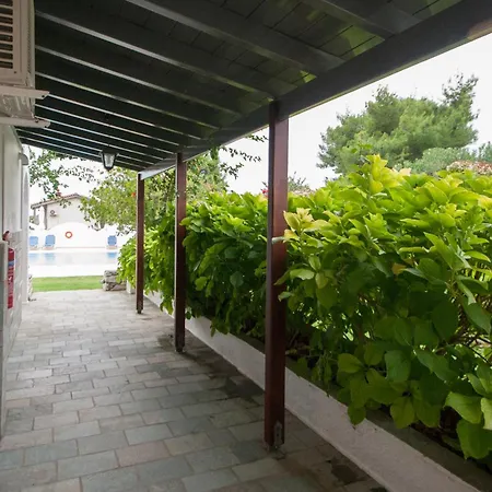 Alissia 3* Koukounaries